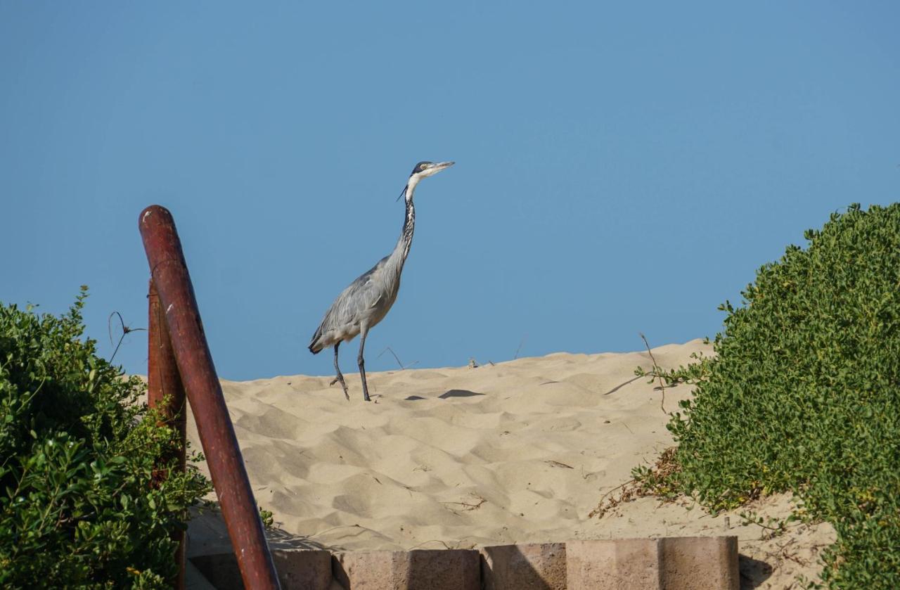 The Gull Hotel Sedgefield Bagian luar foto